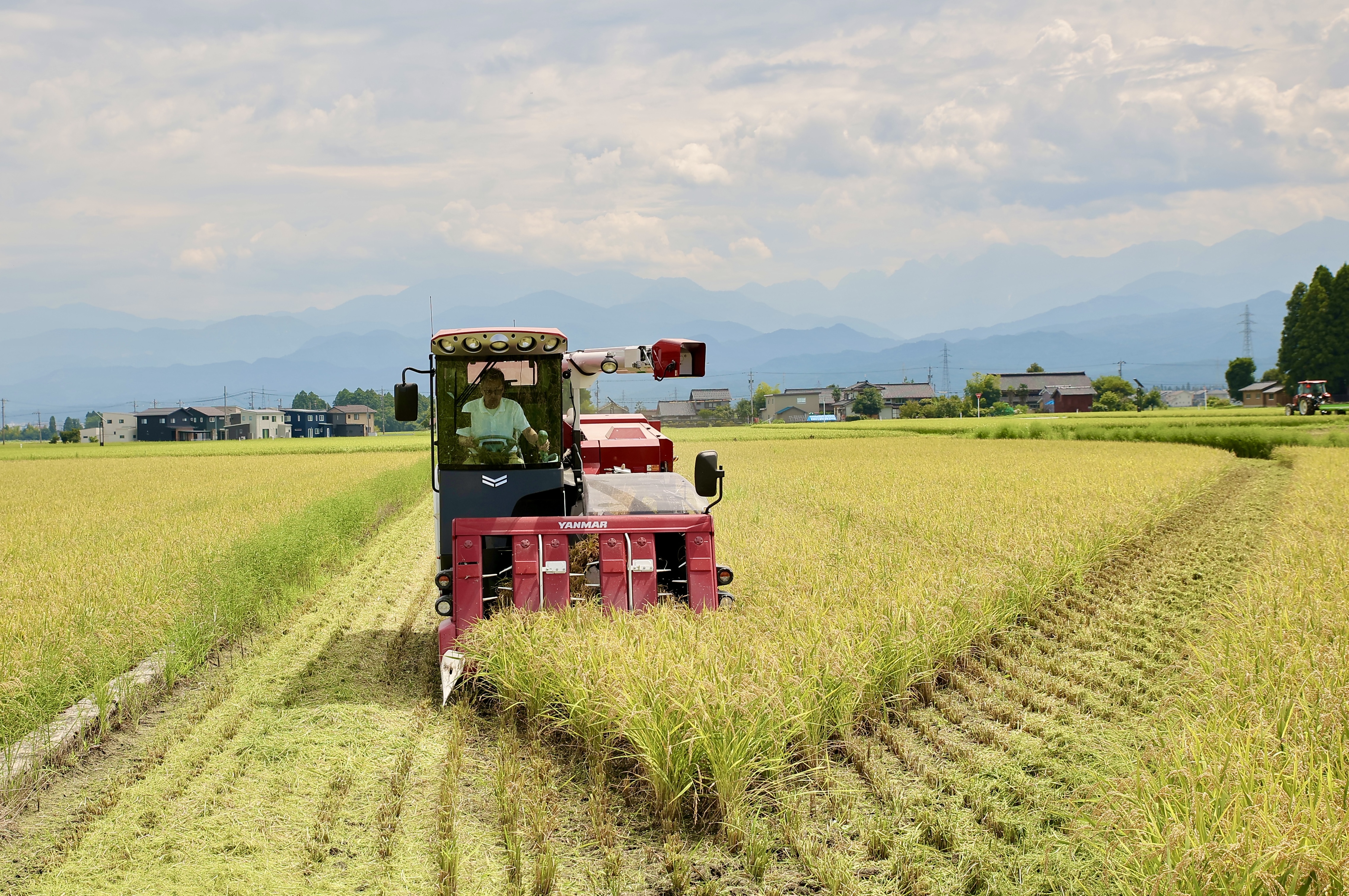 舟橋村-新米の定期配送便
