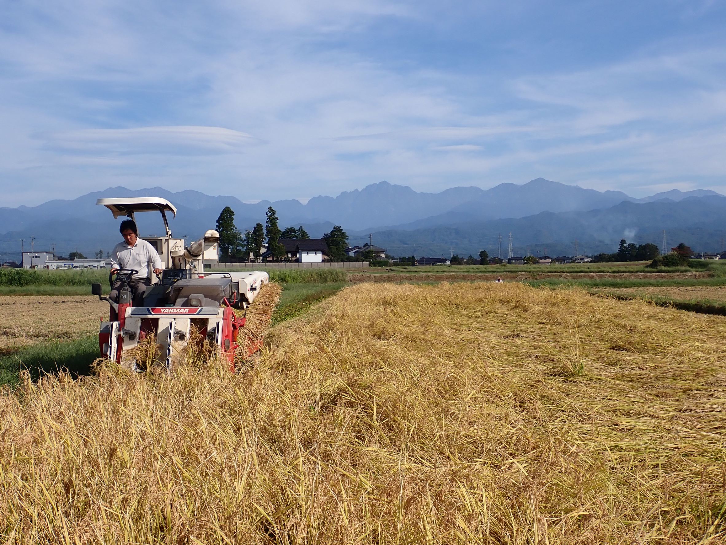 舟橋村-新米の定期配送便