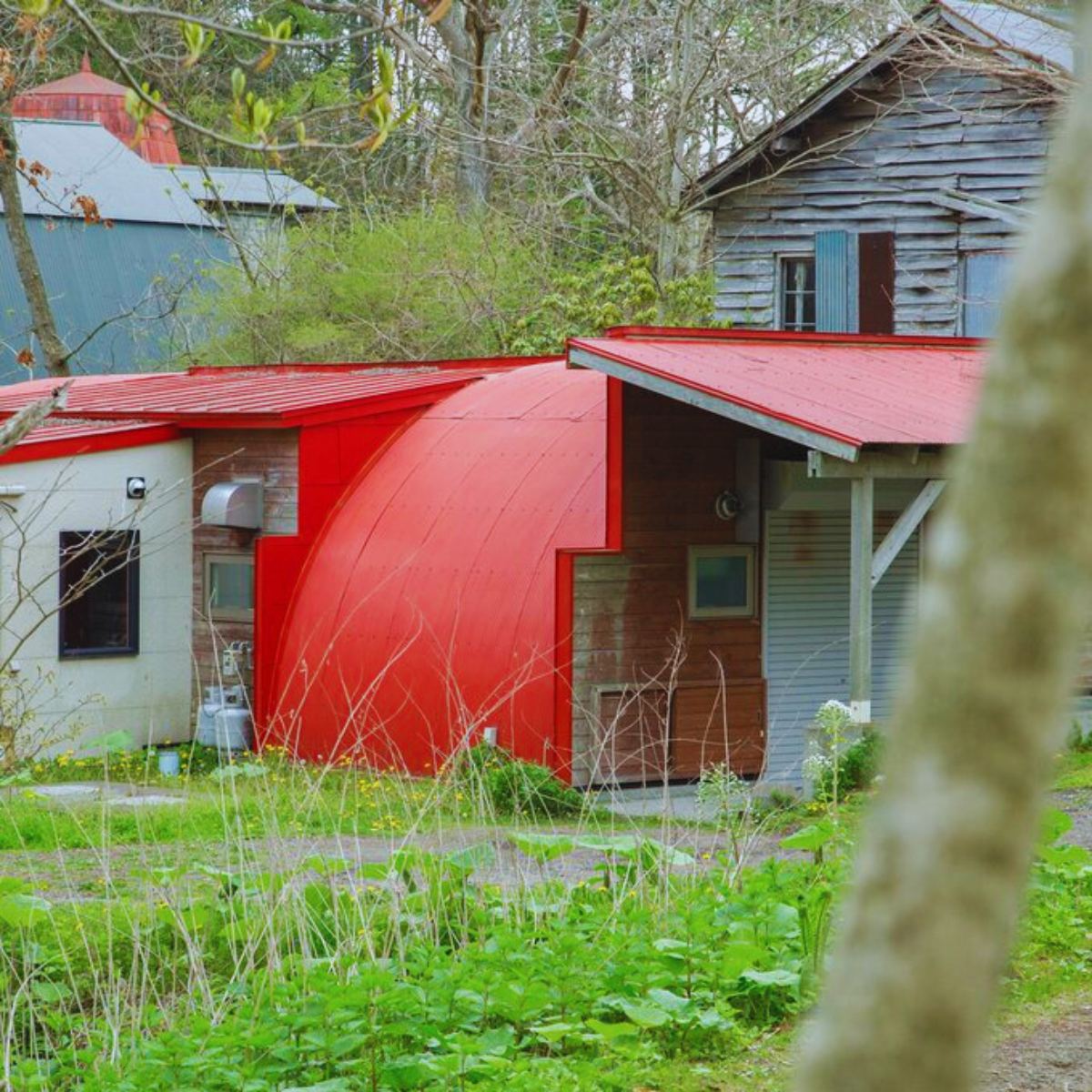 むかわ町の牧場風景