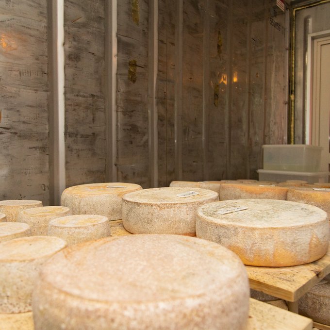 熟成されたホールチーズ