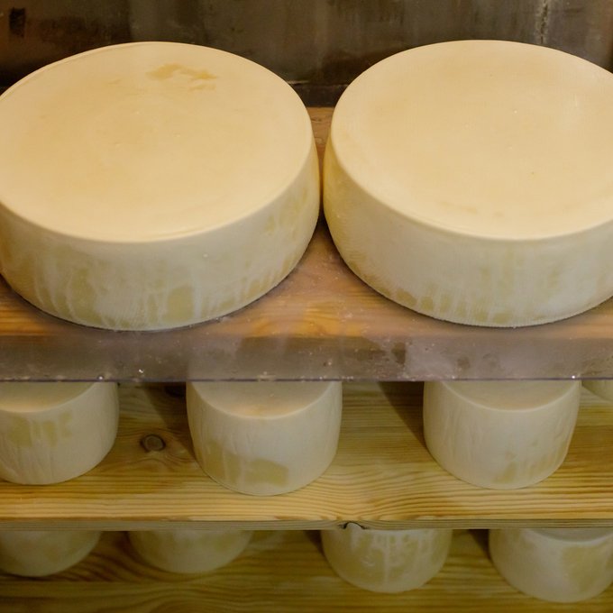 熟成中のチーズ