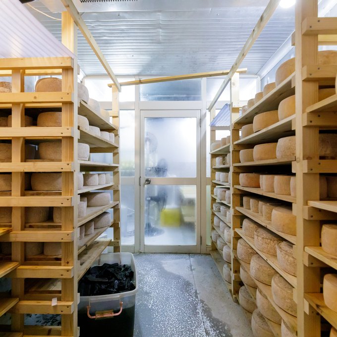 チーズ製造の様子